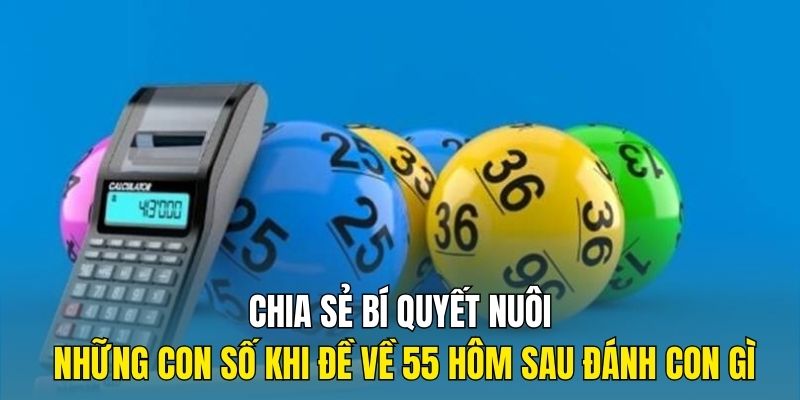 Chia sẻ bí quyết nuôi những con số khi đề về 55 hôm sau đánh con gì