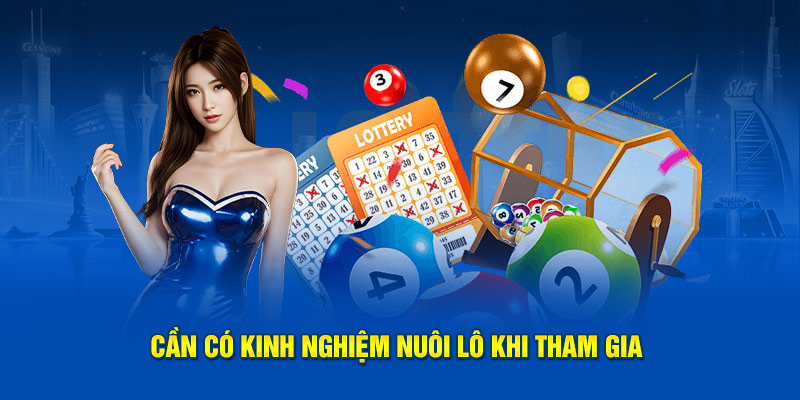 Cần có kinh nghiệm nuôi lô khi tham gia